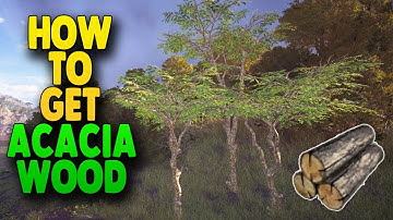 Skull and Bones How To Get Acacia - Simple Guide