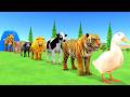 Paint Animals Duck,Tiger,Cow,Gorilla,Hippopotamus,Elephant,Dinosaur Fountain Crossing AnimalGame New