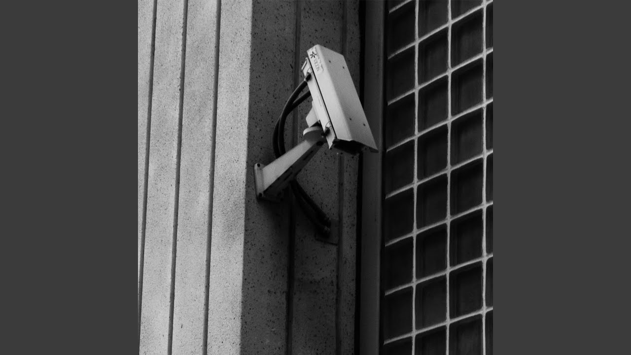 Watch Scratch A Liberal on YouTube Watch Scratch A Liberal on YouTube