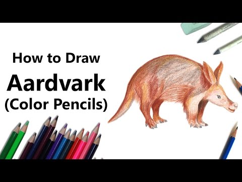Como desenhar um Aardvark com lápis da cor [Time Lapse]