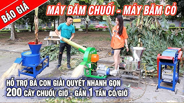 Báo Giá 4 Dòng Máy Băm Chuối & Băm Cỏ "BÁN CHẠY NHẤT THỊ TRƯỜNG" Hiện Nay