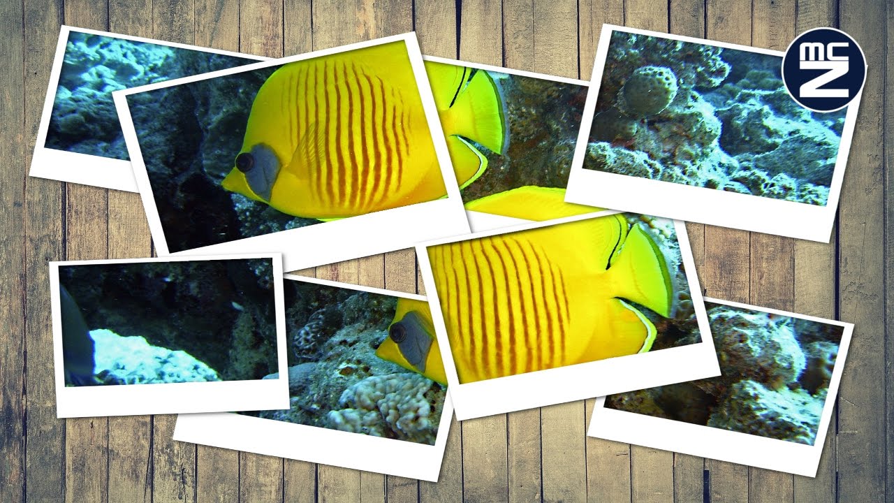 Speed Tutorial Gimp - Effetto Collage Foto Polaroid