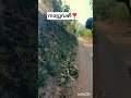 പാലക്കാടൻ നാട്ടു വഴികൾ😊nostu#youtubeshorts #travel #vlog #vlogger #vlogs #love #god #malayalam #song