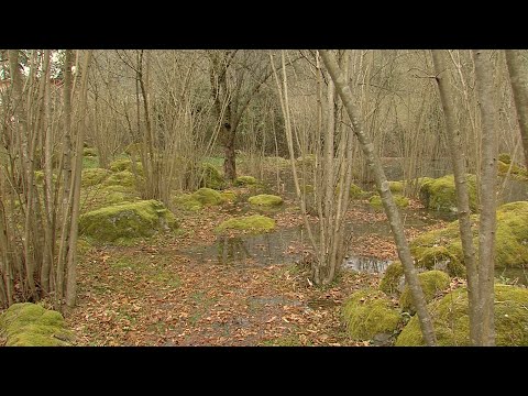დატბორილი საკარმიდამო ნაკვეთები და საფლავები | რა მიიღეს მარადიდელებმა ჰესის მშენებლობით