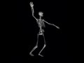 Spanish skeleton explaining the universe