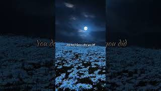 Chris Brown - Under The Influence