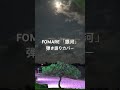 FOMARE 「銀河」弾き語りカバー#弾き語り #ギター #アコギ