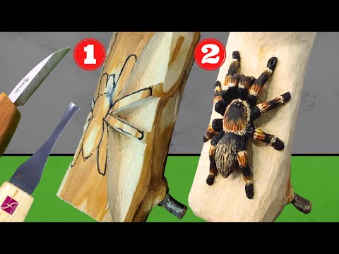 Video: Kako se tarantule štite?