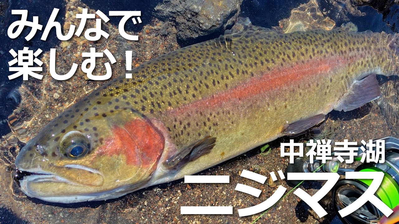 みんなで楽しむ！中禅寺湖ニジマス #中禅寺湖 #トラウト #解禁 #釣り