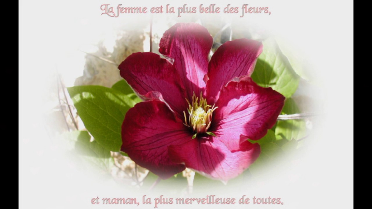 Joyeux Anniversaire Maman Youtube Joyeux Anniversaire Maman Youtube