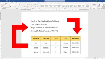 Como convertir texto en Tabla de WORD