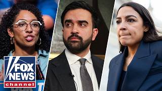 Lifelong Dem TORCHES far-left push for control of Democratic Party