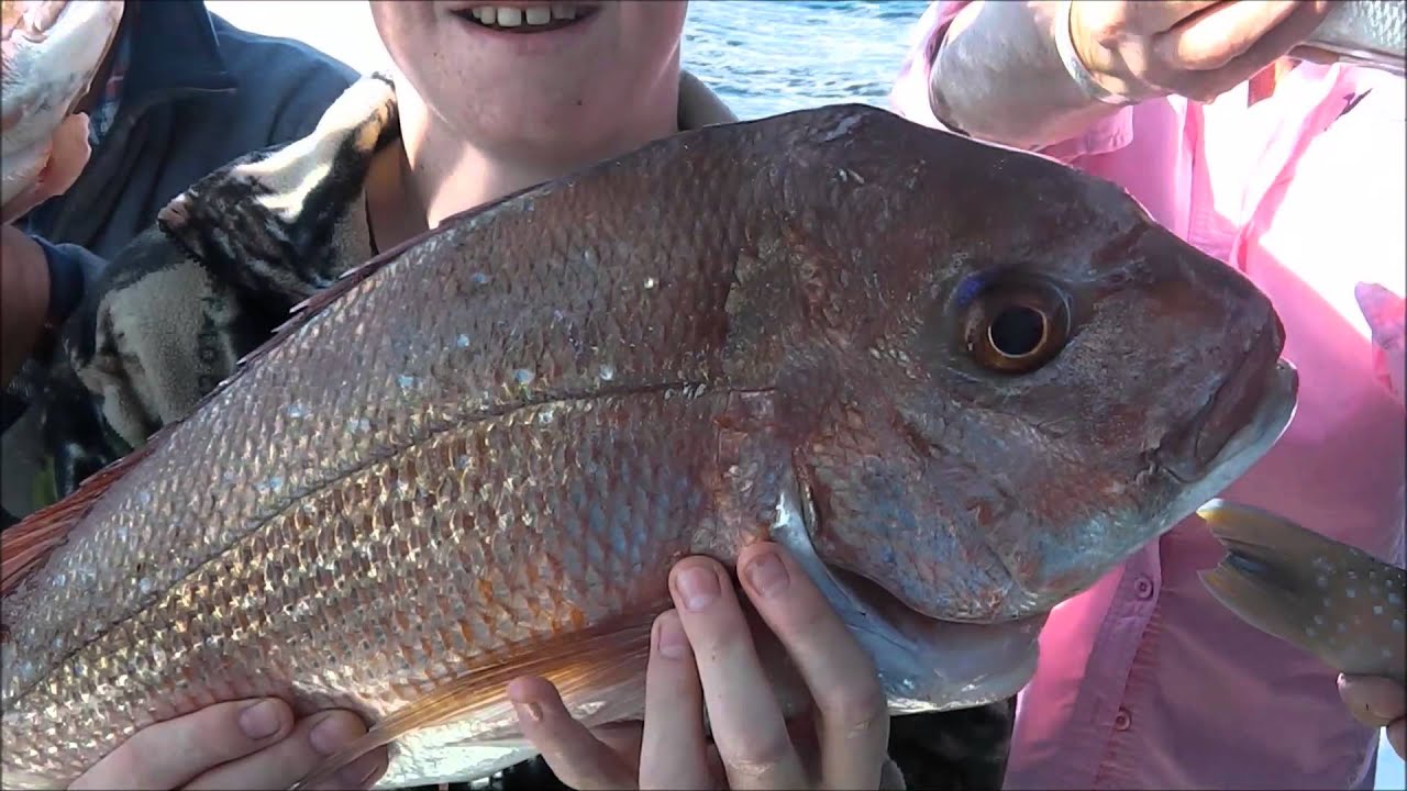 Gold Coast Fishing Charters