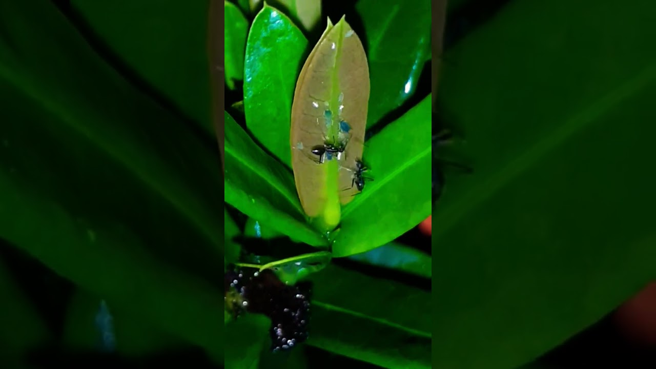 The beautiful 😘😘😘 nature 