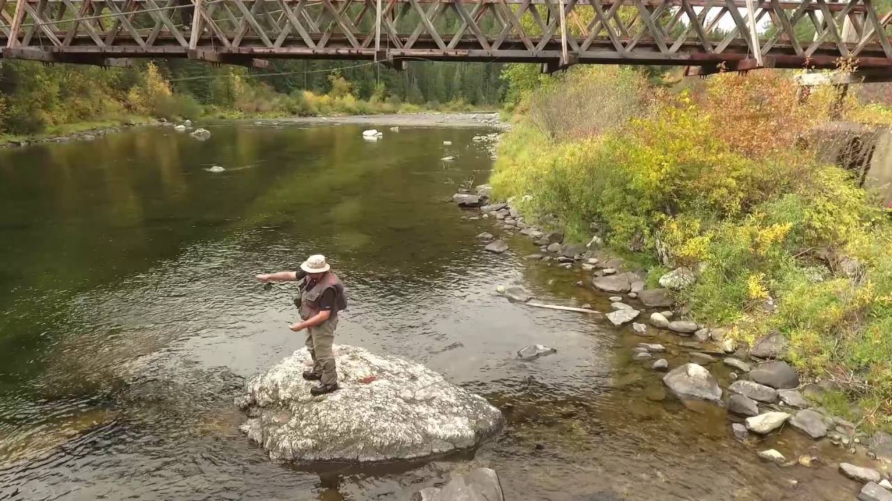 Kelly Creek Fly Fishing YouTube