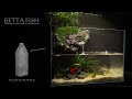 How to make Waterfall with Plastic Bottle/DIY/Betta Fish/No Co2,No Filter,No Ferts