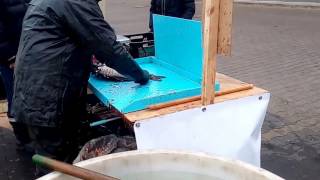Как разделать живую рыбу карп на Рождество,How to cut a live fish carp on Christmas Как разделать живую рыбу карп на Рождество,How to cut a live fish carp on Christmas