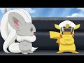 Cinccino cleans Pikachu hat