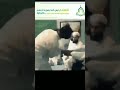 الطائفة الأحمدية يعبدون شخص اسمه أحمد قادياني من دون الله ويقومون بتكذيب ما في القران الطائفة الأحمدية يعبدون شخص اسمه أحمد قادياني من دون الله ويقومون بتكذيب ما في القران