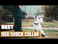 Best Dog Shock Collar In 2024 - Top 10 Dog Shock Collars Review