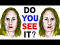 Understanding Perception and Brain Function