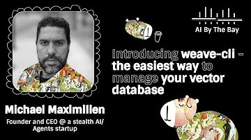 Introducing Weave-CLI: The easiest way to manage your vector DB | Max Maximilien, AI By the Bay 2025