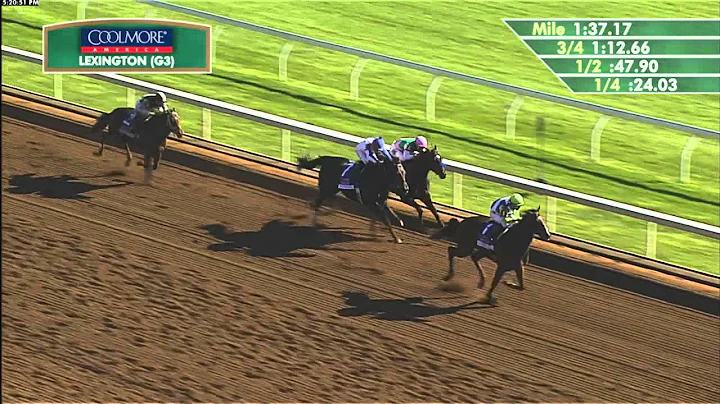 2015 Coolmore Lexington (G3) - Divining Rod