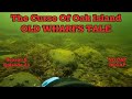 The Curse Of Oak Island OLD WHARFS TALE Ssn 8 Ep 23 NO CAP RECAP #moneypit #swamp #samuelball #lot26