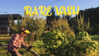 RARE VASH - Я грустный, я счастлив (visualizer)
