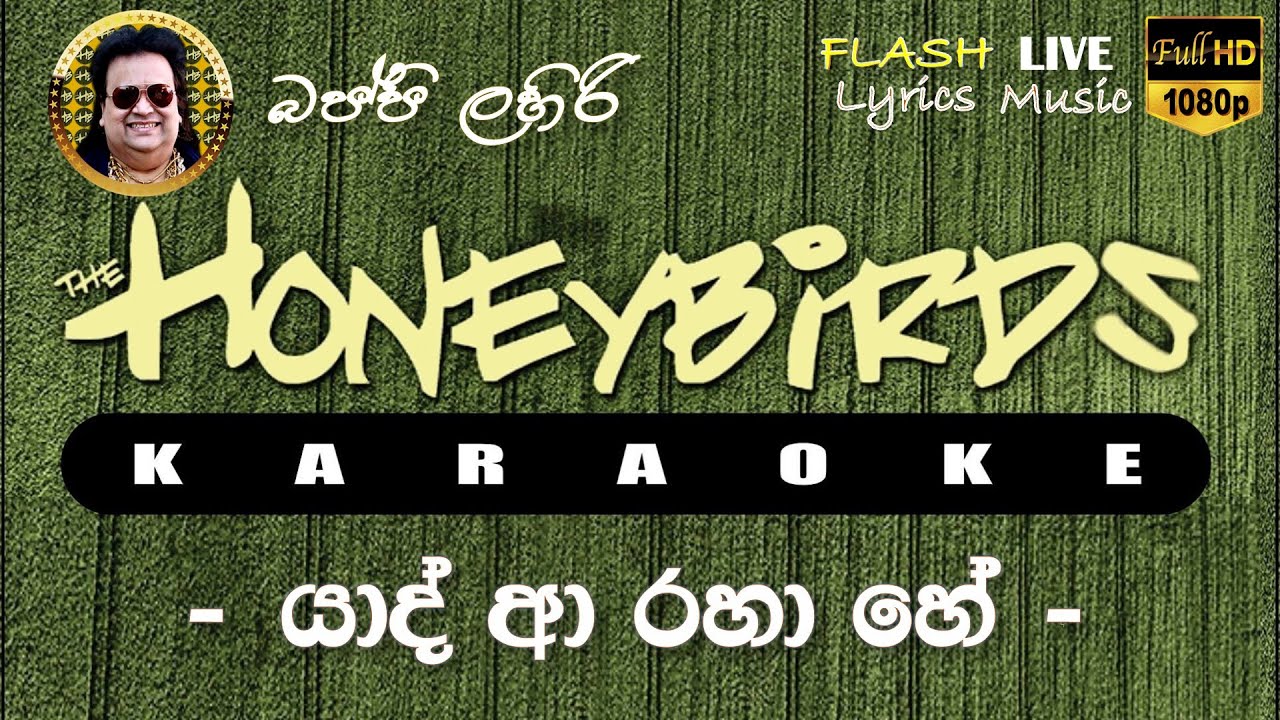 Yaad Aa Raha Hai Karaoke (Without Voice) යාද් ආ රහා හේ කැරෝකේ