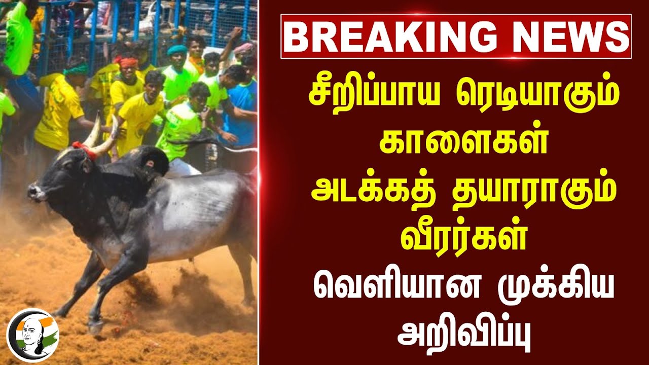 #breakingnews :சீறிப்பாய ரெடியாகும் காளைகள் அடக்கத் தயாராகும் வீரர்கள்.. வெளியான முக்கிய அறிவிப்பு..