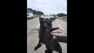 Sunrise highway was briefly shut down so this baby could be rescued. 😭
