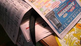 Strange Breakfast Visitor