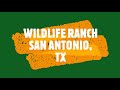 WILD LIFE RANCH FULL TOUR SAN ANTONIO TX