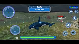 Orca Killer Whale Simulator