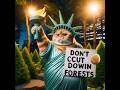 Cat protect forest #cat #cute #funny