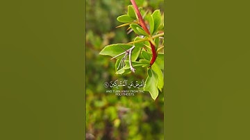 #القرآن_الكريم #القران   يوم الجمعة لا تنسوا قراءه سورة الكهف