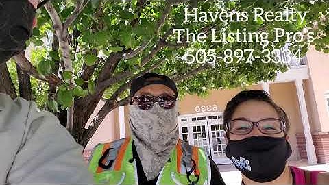 Havens Realty The Listing Pro