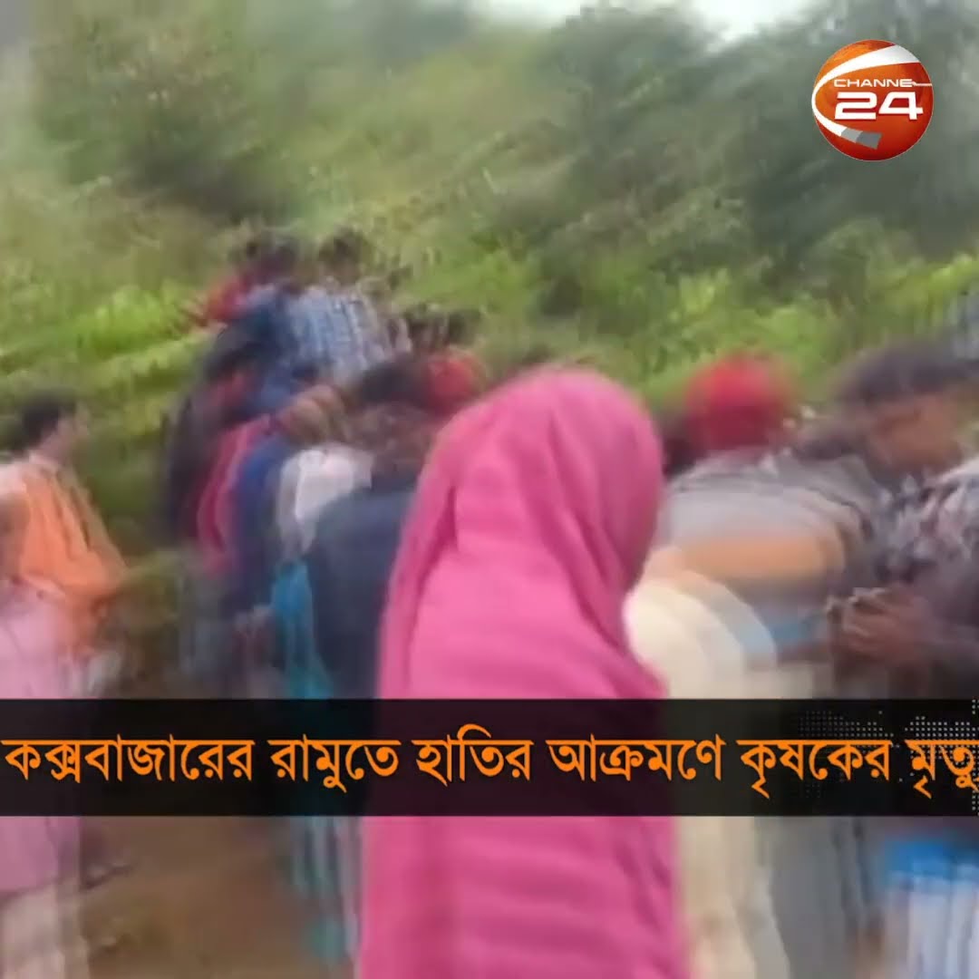 রামুতে বন্যহাতির আক্রমণে এক ব্যক্তির মৃত্যু | Channel 24