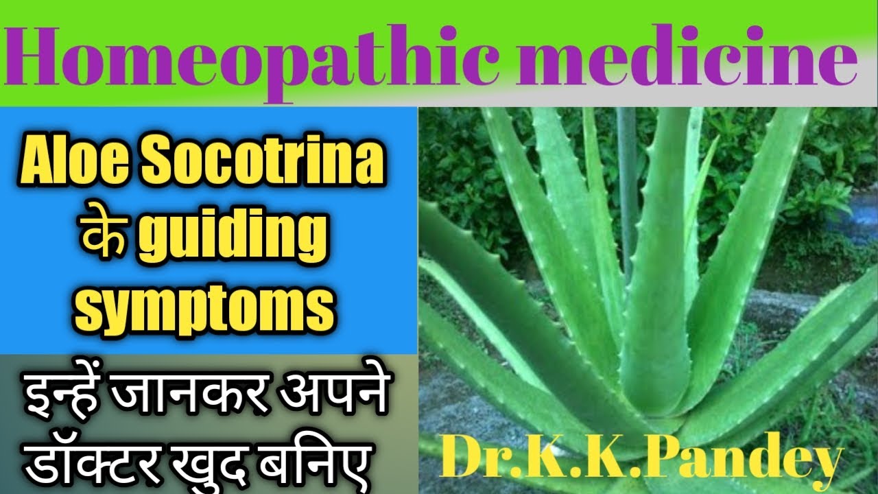 Aloe Socotrina Homeopathic Medicine। Aloe Socotrina 30। Aloe Socotrina
