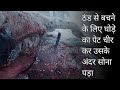 The Revenant 2015 Survival movie Explain in Hindi | Survival movies explain in hindi