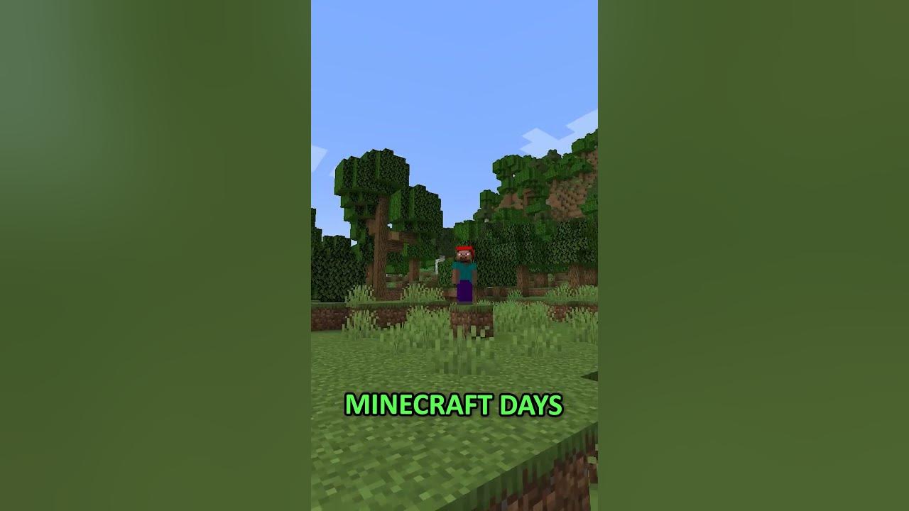 How old is minecraft steve youtube