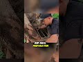 The Most Satisfying Natural Hideout Ever Built