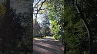 Parque da Ponte Braga #braga #portugal ##relax #nature #parque