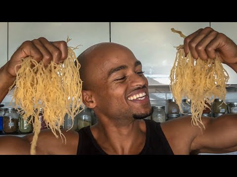 how-i-make-sea-moss-gel-+-3-delicious-recipes-•-almost-alkaline-kitchen-ep-2--aa--irish-moss