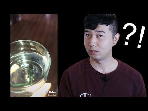you-won't-believe-what-this-guy-did-to-get-more-views-on-tiktok-|-fish-tank-review-37