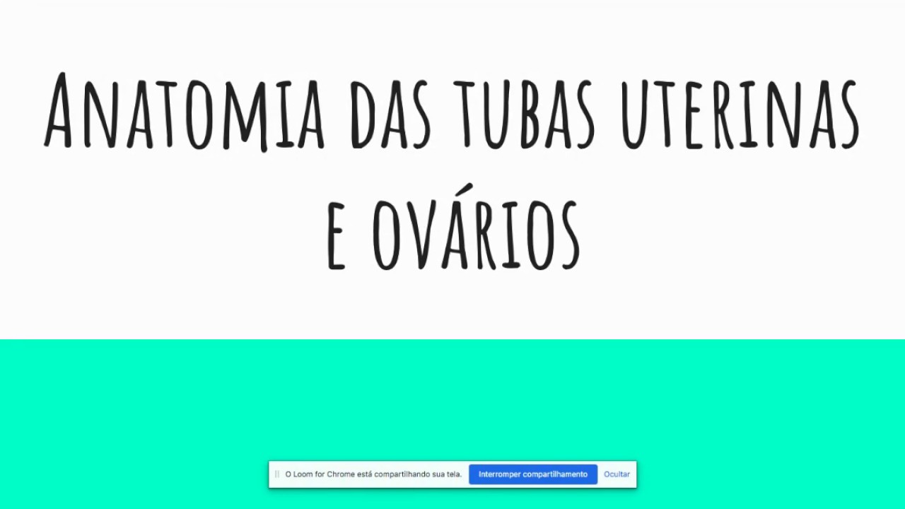 Anatomia das tubas uterinas e ovários YouTube