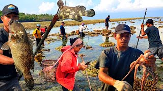 pagi hari Ikan, gurita dan kerang nampakan diri saat berburu bersama warga