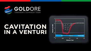 Cavitation in a Venturi | MACH REACTOR™