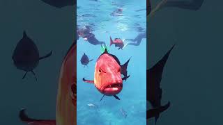 Can YOU fly over the Great Barrier Reef? #australia #shortsfeed @JakeRichandAnnaChah